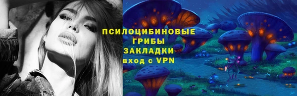 ешки Богородицк