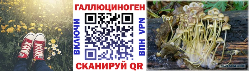 Галлюциногенные грибы MAGIC MUSHROOMS  Купить закладки  Долинск 